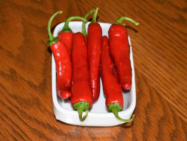 25 GIANT ACONCAGUA PEPPER Up to 12
